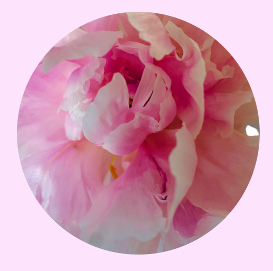 Changing Queens Website