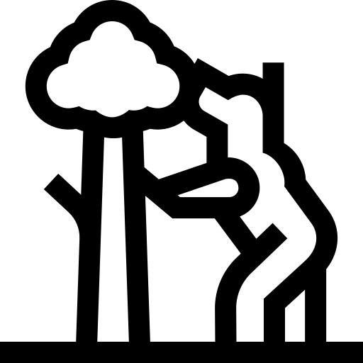 d8bfce9da0971fd9512c6c58f0192f9949a1c578a5b215eeec