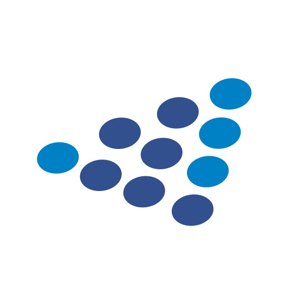 DEN Consultores