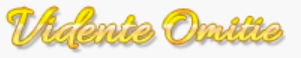 Vidente Omitie